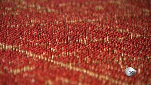 10M views · 2.2K reactions | Here's how matches are made. Thanks to our friends at Science Channel for sharing this footage with us. "How It's Made" airs Mondays at 9 p.m. | Insider Design | Facebook