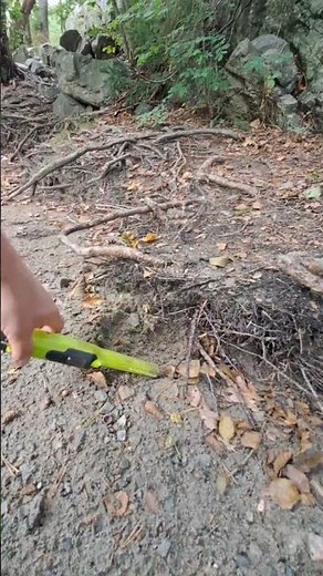 “Shocking Metal Detecting Find in Norway! Equinox 800 Reveals Hidden Treasure”