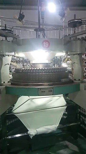 Cảnh nổi bật từ buổi phát trực tiếp