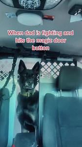 **Door popper training, not a live deployment.** #k9 #k9unit #policek9 #k9cop #k9gsds #k9security #k9protection #k9unit #k9lifeline #policek9intraining #policek9unit #k9lifesavers #k9handlers #k9cops #k9lifestyle #k9team #policedog #k9officerk9unitforever | K9 UNIT PROUD