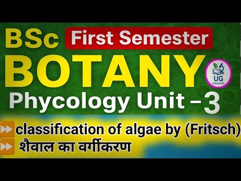 BSc 1 semester botany unit 3 phycology || classification of algae by Fritsch