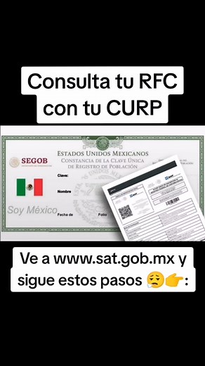 Consulta rápida de tu RFC usando CURP