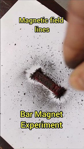"Magnetic Field Lines Experiment 🧲 | Iron Filings Around Bar Magnet | Class 10 Science #Shorts
