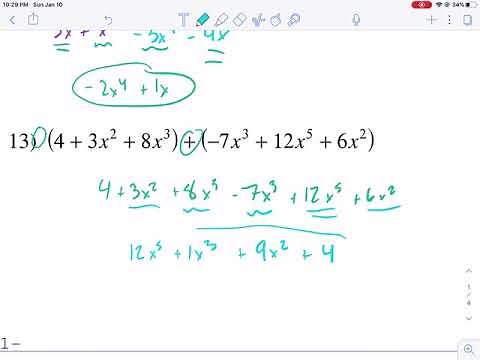 Kuta Tutorial: basic polynomial operations