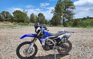 CRF250RX vs WR250F
