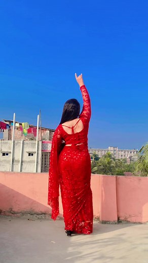 Elegant Saree Styles from Desi Elegance Saree