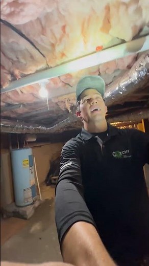 Flying Termites VS Flying Ants #pestcontrol