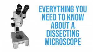 Everything You Need to Know About A Dissecting Microscope