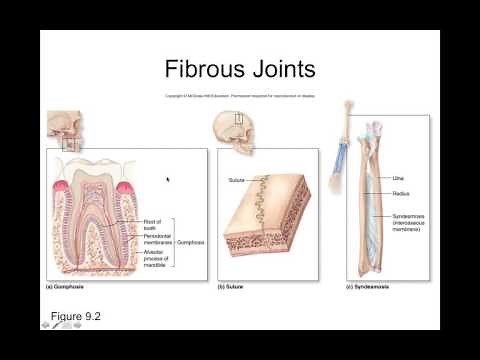 Chapter 9 Introduction to Joints Part1