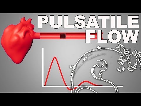Pulsatile Flow