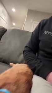 15 reactions | This is why it is best to have two cats  | Flowers and Gifs | Facebook