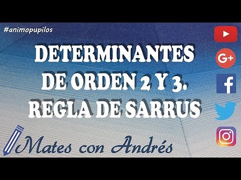 Calculation of 2x2 and 3x3 determinants. Sarrus's Rule