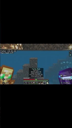 Everything you can do with turtle scutes! Minecraft 1.21