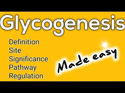 Glycogenesis made easy: Definition ll Site ll Pathway ll Significance ll Regulation