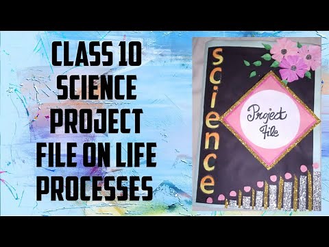 CLASS 10 // CBSE // SCIENCE PROJECT FILE ON// LIFE PROCESSES //