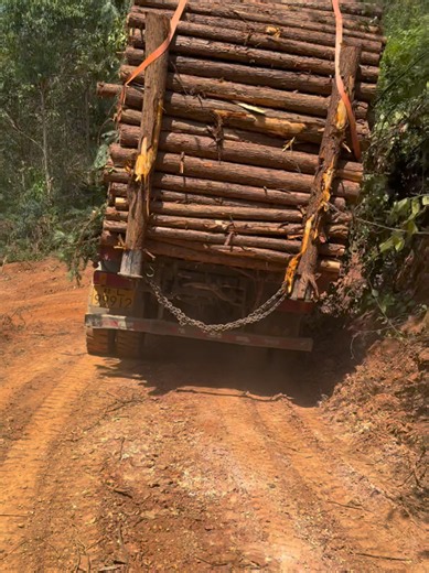 Nerve‑wracking Moment: Timber Truck Descends Steep Hill