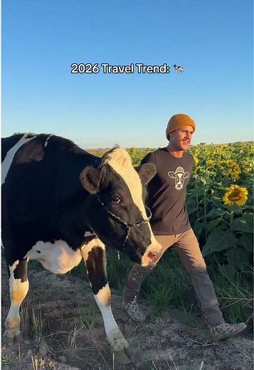 Exploring Trending Farm Stays for Families