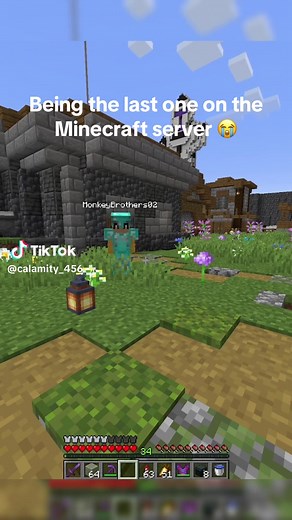 Staying Alone on the Minecraft Server Experience