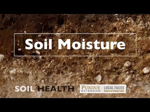 Soil Basics: Soil Moisture