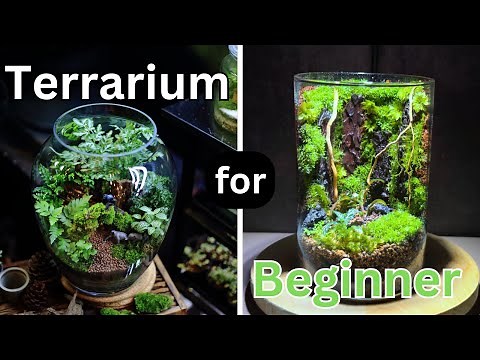 How To Make a TERRARIUM For BEGINNER : 10 ESSENTIAL Terrarium tips For Beginners : Terrarium ideas