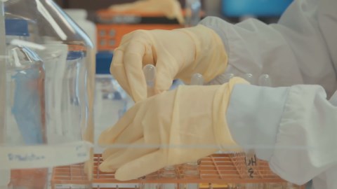 What Was the First Virus on Earth? Discovering the Ancient Origins of Viral Life