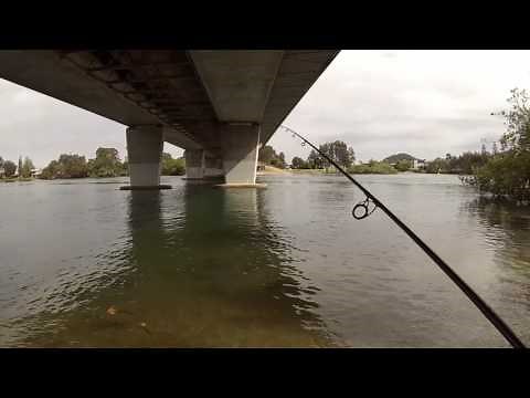 How to catch bream on bait around a bridge ( basic bream fishing )