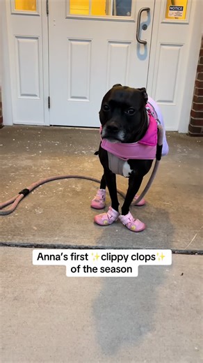 The clippy clops are back✨🫶🏻 stay until the end for a surprise😂 & stay warm out there besties!