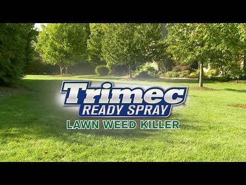 How To Use Gordon’s® Trimec® Ready Spray Lawn Weed Killer