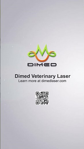 Veterinary Surgery Laser Treatment
