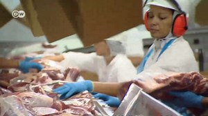 Worldwide meat in numbers