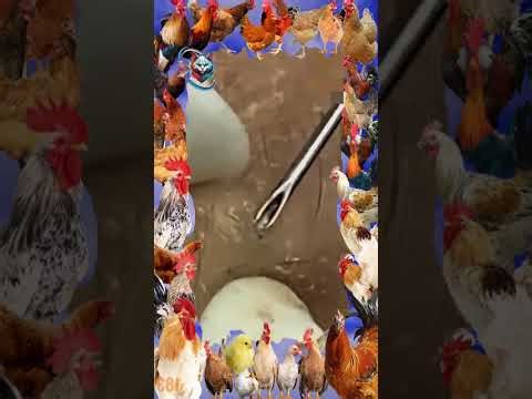 8M Plant vs Zombie Hacker 999990 Zombies In Survival Plants vs zombies hack Menu Pvz mod Ep177