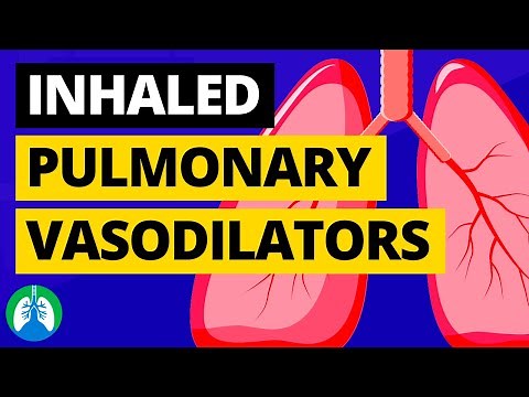 Inhaled Pulmonary Vasodilators (Medical Definition) | Quick Explainer Video