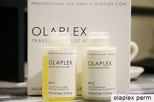 Olaplex Perm On Bleached Hair: A How-To Guide (With Results)