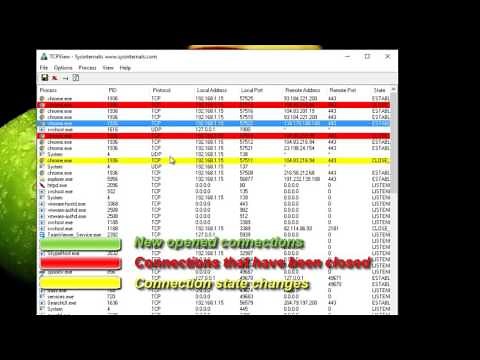 TCPView - Monitor the Network Activity on your local computer.