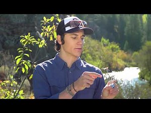 Identifying A Dry Fly