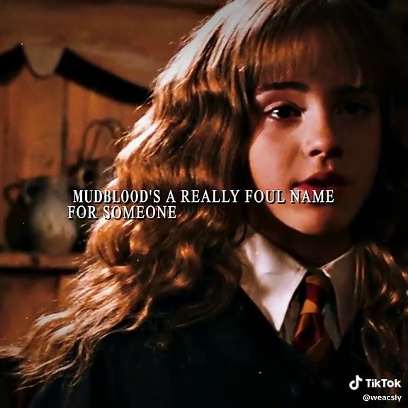 Understanding the Term 'Mudblood' in Harry Potter