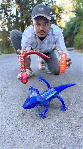 Remote control Lizard🦎& Snake ki Unboxing