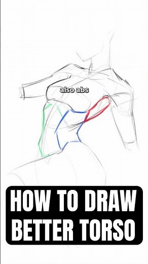 How to Draw Better Torso for Your Characters!!