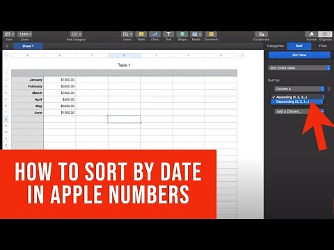 How to Sort By Date In Apple Numbers
