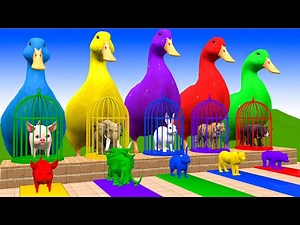 Long Slide Game with Cow Elephant Gorilla Hippopotamus Tiger 3d Animal Game Funny 3d Animals