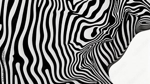 zebra skin pattern Stock Video