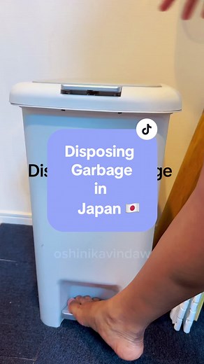 Garbage Disposal in Japan: An Inside Look at Effective Waste Management