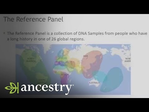 AncestryDNA | Breaking Down the Science Behind Ethnicity Results | Ancestry