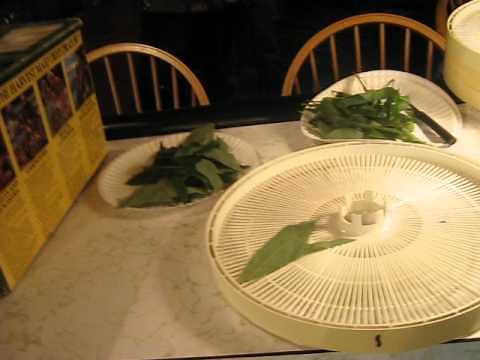 how to make file powder