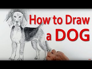 Discover How to Draw a Dog - The Essential Techniques You Need to Know