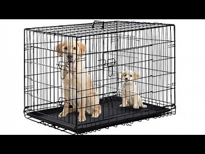 Watch how to sign 'expendable' in American Sign Language.