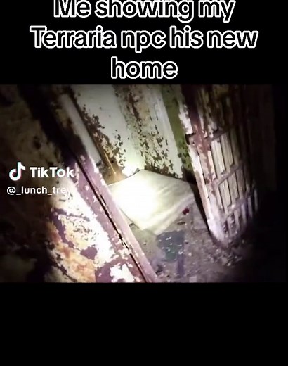 Me Showing My Terraria NPC His New Home