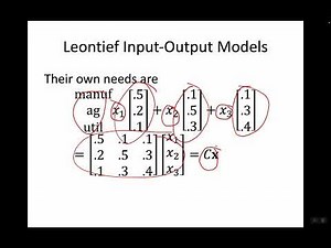 Leontief Input Output Model