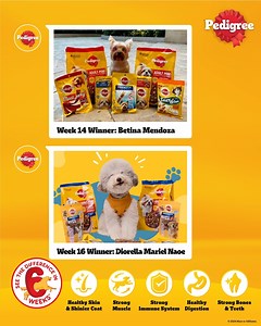 Let’s take a look back at our fur babies who participated in our Pedigree 6 weeks challenge last year🏆 By giving them a complete and balanced Pedigree® diet, you’ll see the visible difference in your dog’s health in just 6 weeks! Learn more: https://www.pedigree.com.ph/6-weeks-challenge Shop now: 🛒Pedigree Club: https://pedigreeclub.ph/ 🛒Lazada: https://bit.ly/PedigreeLazadaPH 🛒Shopee: https://bit.ly/PedigreeShopeePH 💖Follow us on Instagram: https://bit.ly/PedigreePhilippinesIG #PedigreePH6