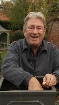 This Simple Change Makes Tulips Explode with Color